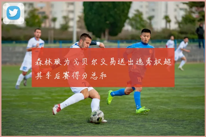 森林狼为戈贝尔交易送出选秀权超其季后赛得分总和