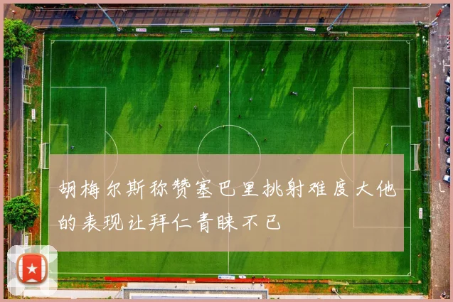 胡梅尔斯称赞塞巴里挑射难度大他的表现让拜仁青睐不已