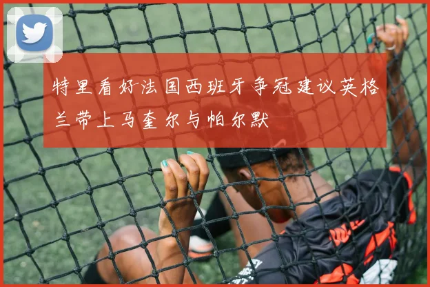 特里看好法国西班牙争冠建议英格兰带上马奎尔与帕尔默