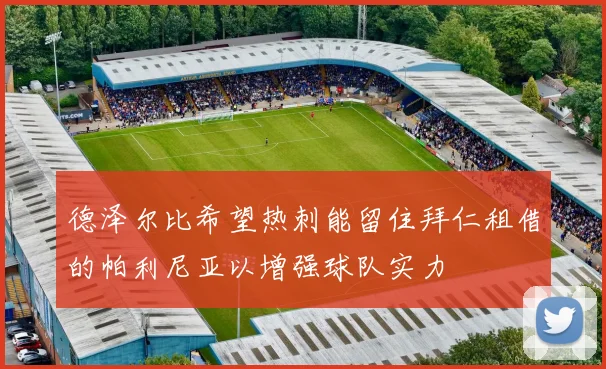 德泽尔比希望热刺能留住拜仁租借的帕利尼亚以增强球队实力